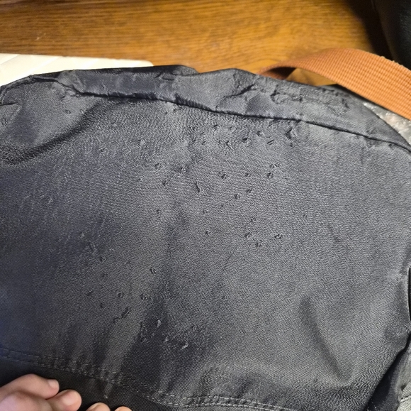 Coach - Picture 9 of 15